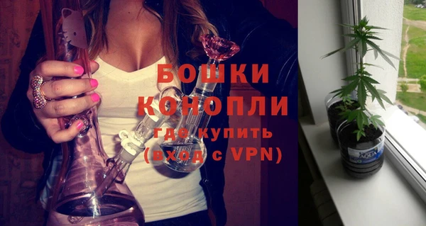 шишки Михайловск