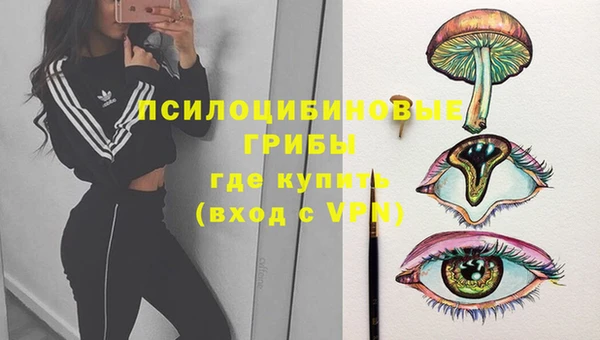 Альфа ПВП Мегион