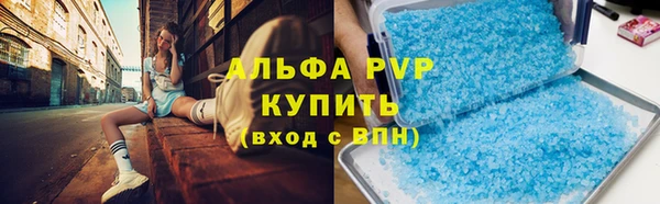 шишки Михайловск